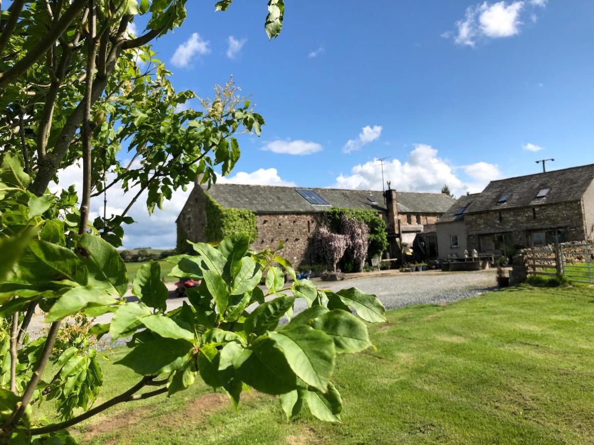 秧鸡树庄园住宿加早餐旅馆 Crosby Ravensworth 外观 照片